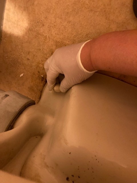 トイレ 交換 DIY 戸建て マンション